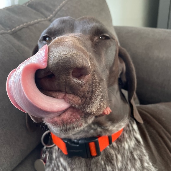 Meet me, buckeyest8finds! - Picture 7 of 7